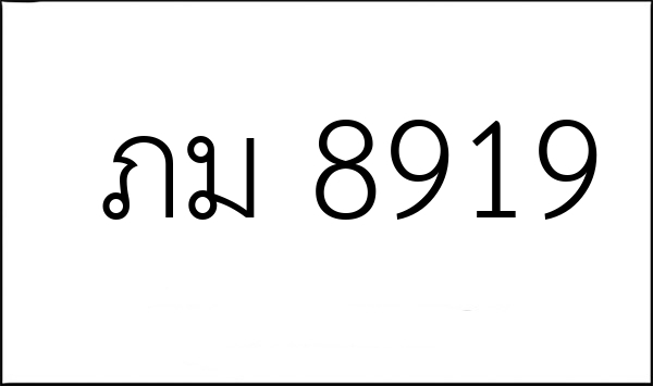 ภม 8919